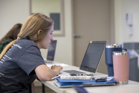 an image of a student working on a computer