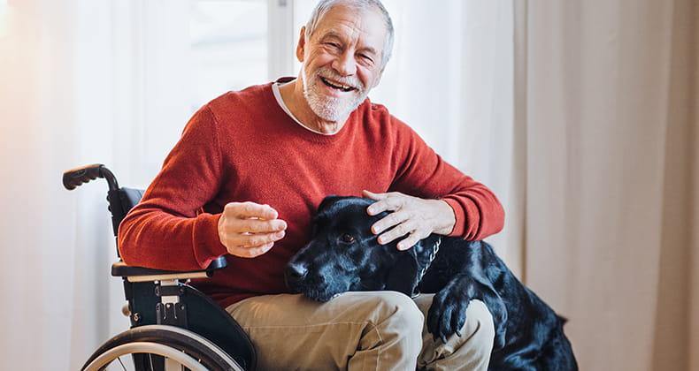 A man in a wheelchair petting a black dog
