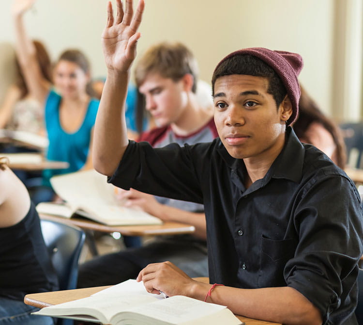 an image of a young boy raising his hand in class