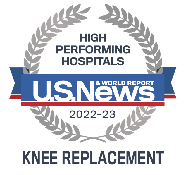 Best Hospital Knee emblem
