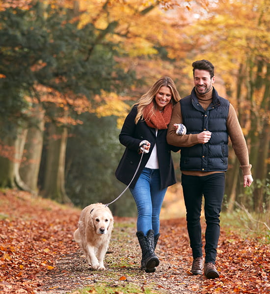 A couple walking their dog