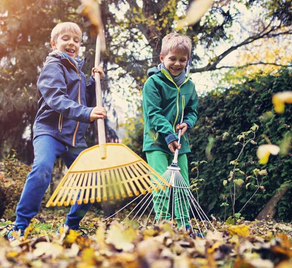 two young brothers raking leaves together