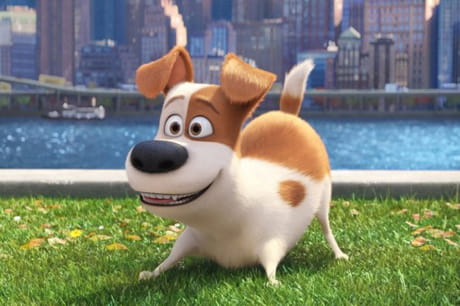 Image of cartoon dog from film 'The Secret Life of Pets'