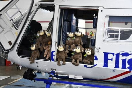 Stuffed monkeys sit inside a Life Flight helicopter.