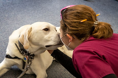 Geisinger’s Alex Yohey meets with a pet therapy dog as part of a support session for staff. Geisinger is seeking additional volunteers for its program throughout its system. 