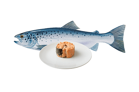 Cooking Corner: Simple salmon pea wiggle