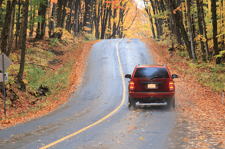 Car on a road with fall foliage