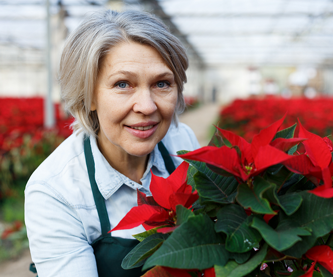 Woman holding poinsettia