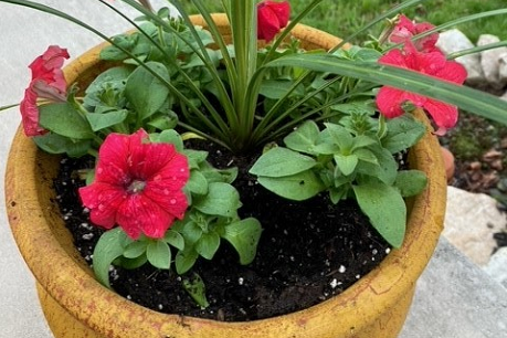 Flower pot