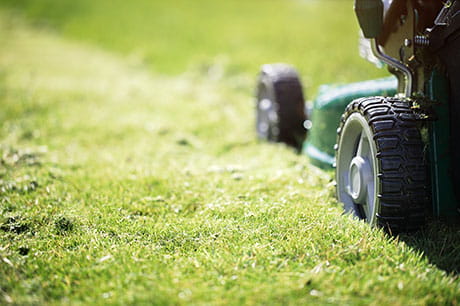 Lawnmower on grass
