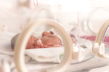 Newborn baby born prematurely resting in an incubator