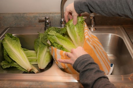 Woman washing romaine lettuce
