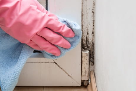 Person wiping mold from a door frame
