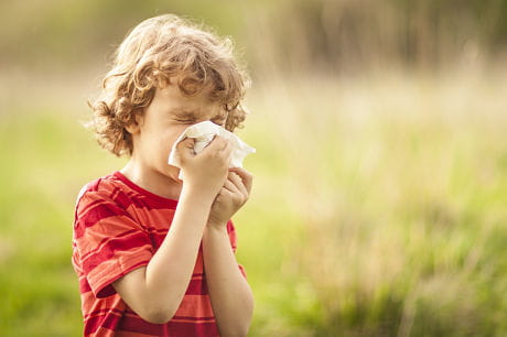 Little boy sneezing into a tissue due to cold or allergy symptoms, outside on a sunny day.
