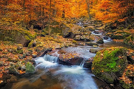 Beautiful creek surrounded by changing autumn leaves.