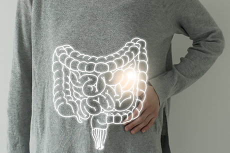 artistic representation of a colon