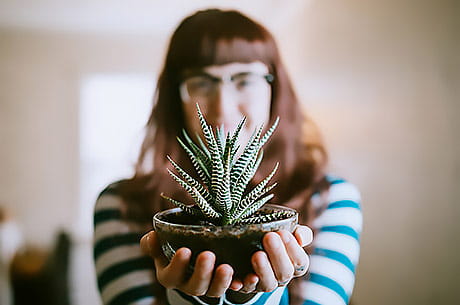 houseplants can boost your mental and physical well-being.