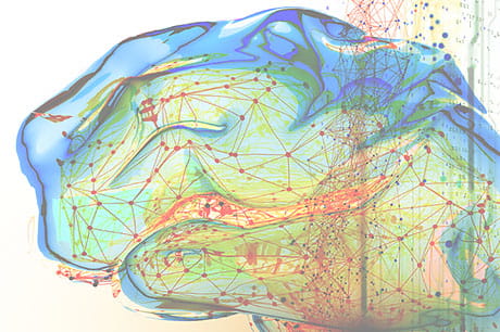 Colorful graphic visual of the human brain.