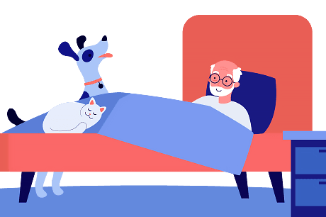 Illustration of an older man in bed with a happy dog and sleeping cat.