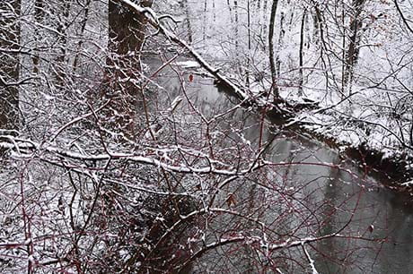 A wintry stream in northeast Pennsylvania.