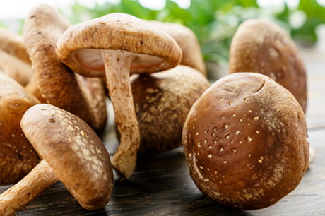 Image of brown mushrooms