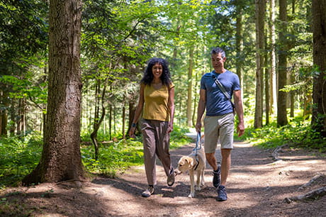 A couple walking a dog