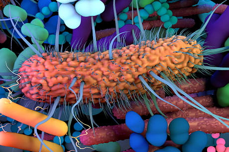 Simulated microscopic image of intestinal microbes.