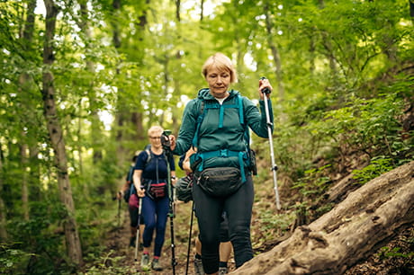 an image of people hiking looking to avoid rattlesnake bites
