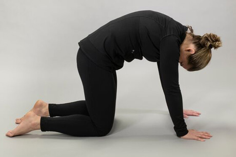 Woman practicing yoga doing a cat pose