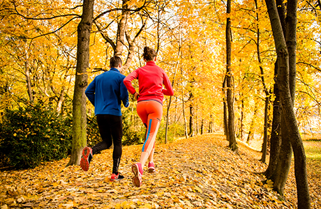 Two people jogging on a leaf covered path