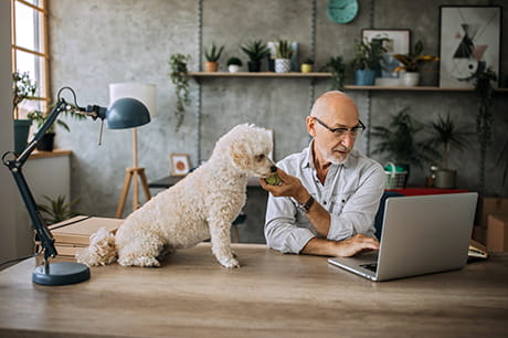 Gentleman looking up medicare information on his laptop with his dog nearby