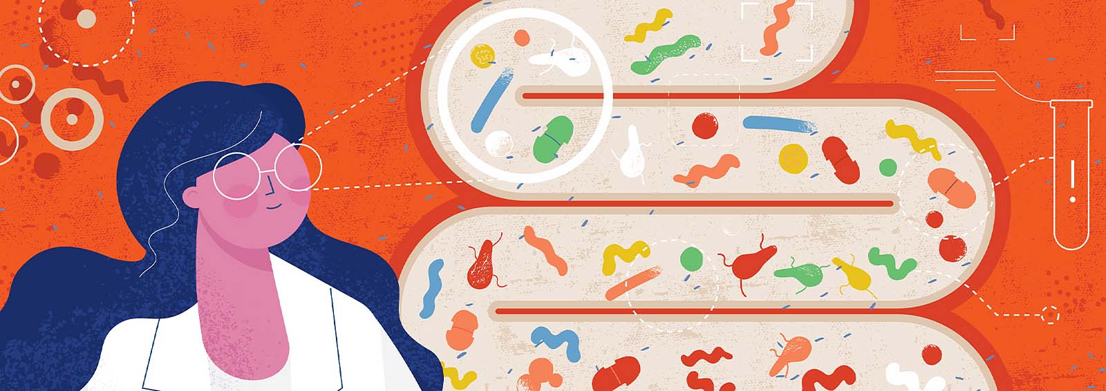 Colorful illustration of good bacteria in the intestinal tract.