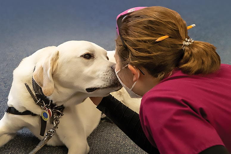 Drake, a certified therapy dog, visiting with patients through Geisinger’s volunteer program.