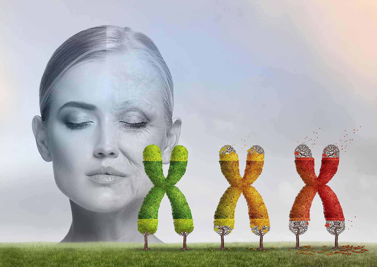 Photo illustration of chromosomes and the effects of aging on humans.