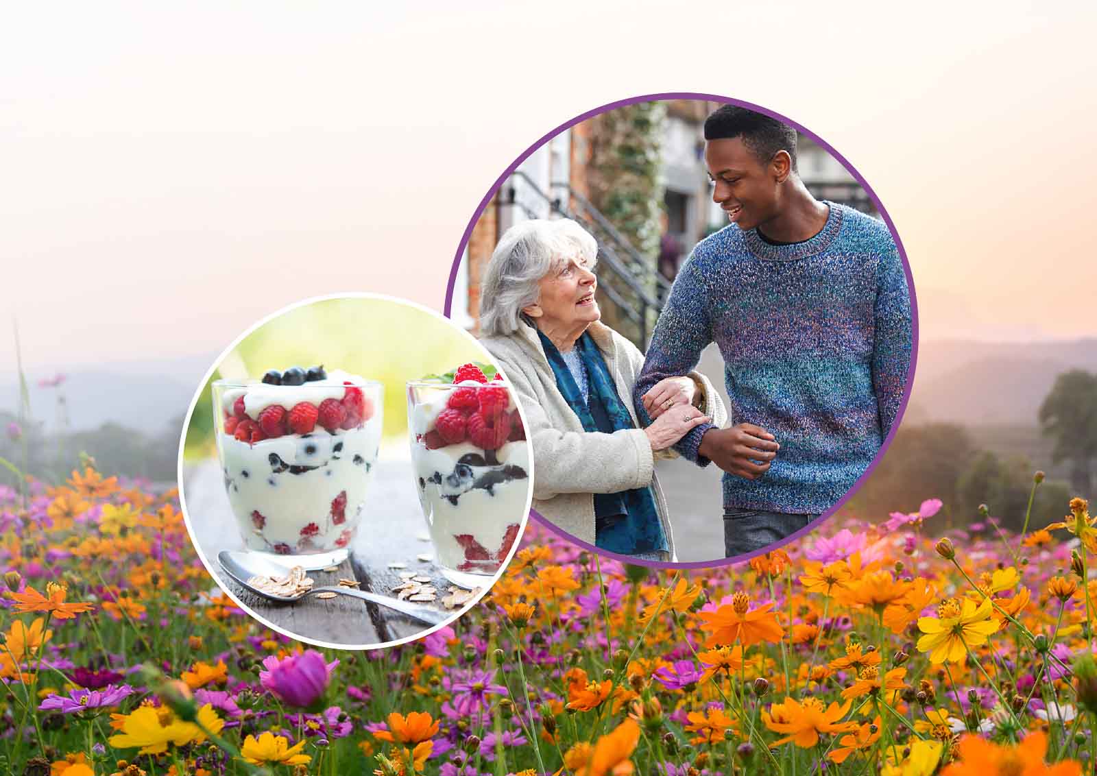 Photo illustration featuring a field of flowers, healthy desert and a young man assisting an elderly woman.