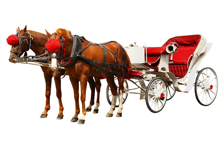 A holiday-themes horse drawn carriage.