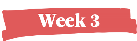 Week 3