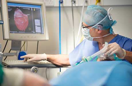 A medical professional doing a sonogram