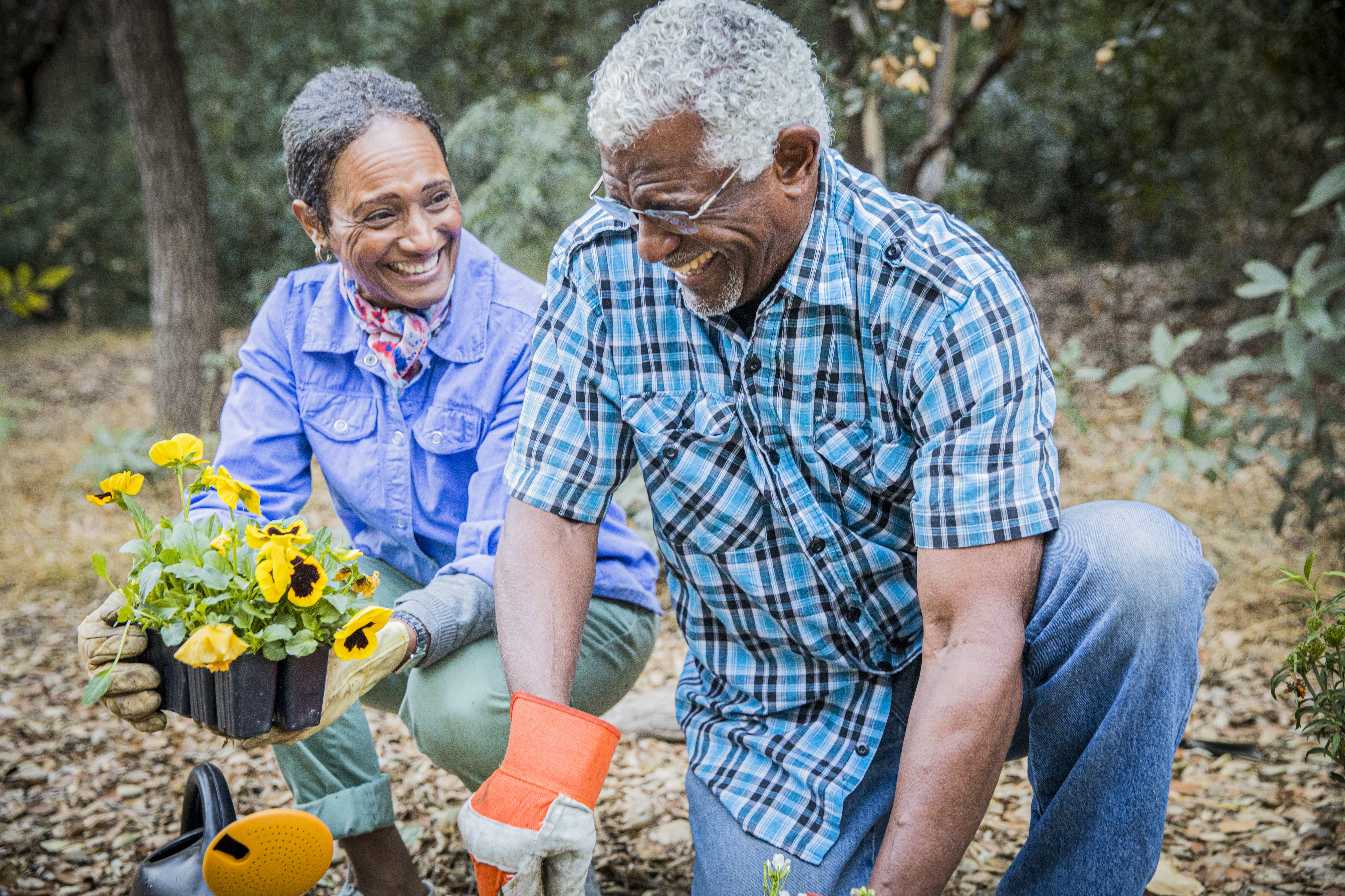 Elderly couple gardening