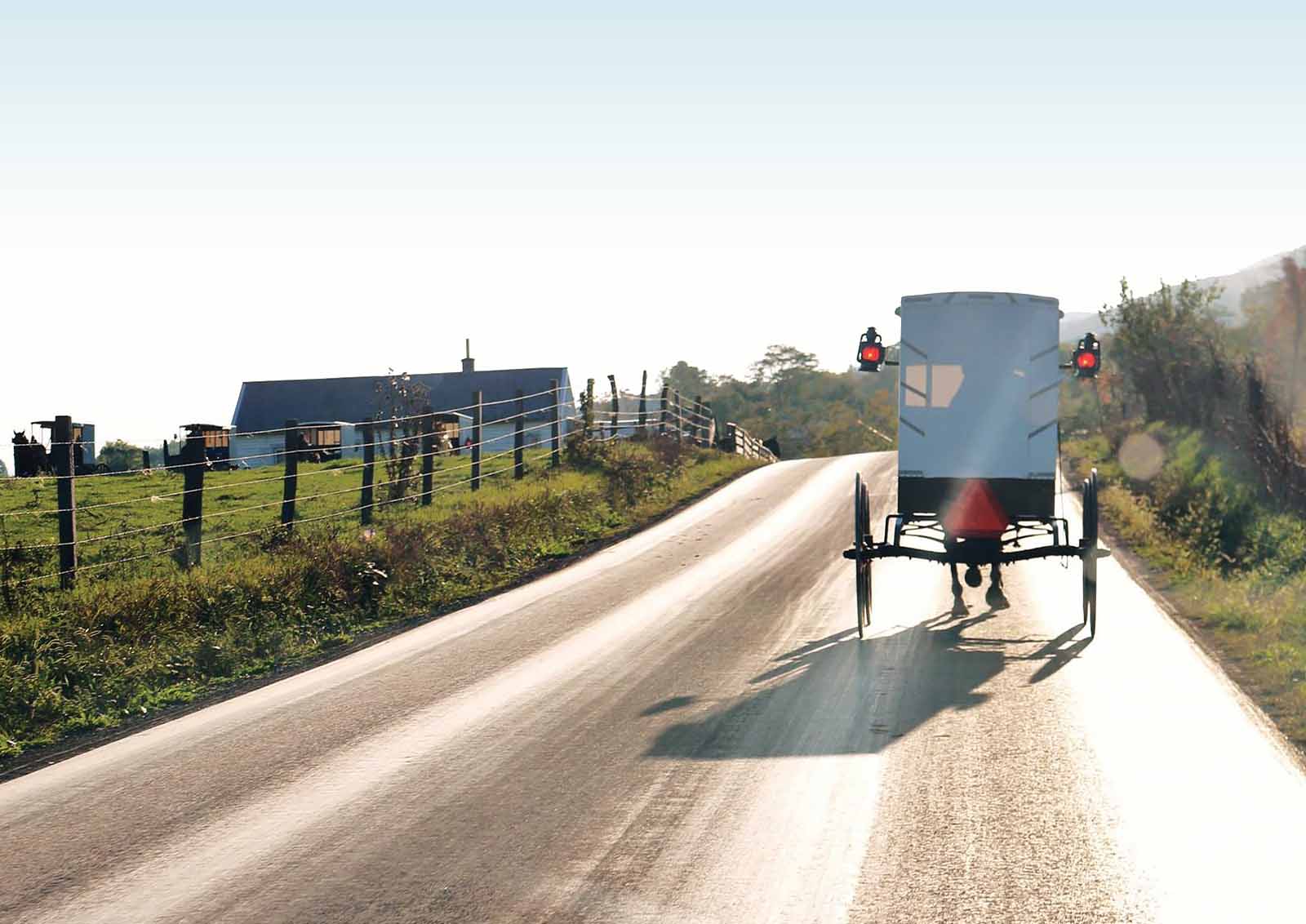 A solitary horse-drawn buggy travels down a rural road.