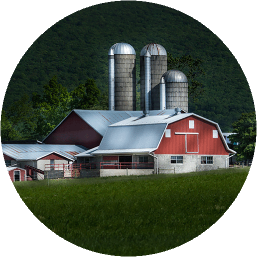 A large farm as viewed from a distance.