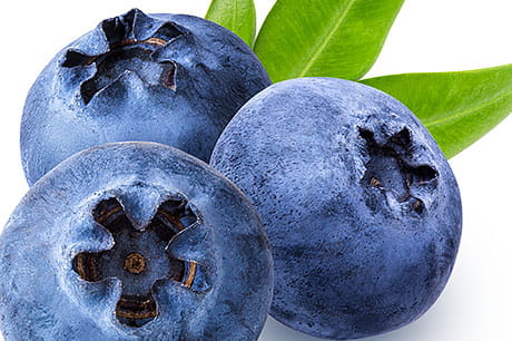 A closeup photograph of blueberries.