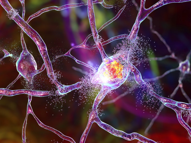 Destruction of neurons