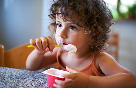 Toddler with dark, curly hair eating a cup of yogurt full of probiotics.